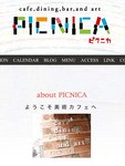picnika.jpg